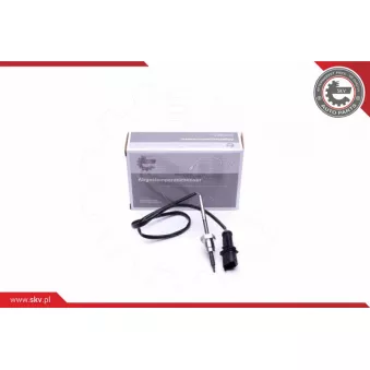 Capteur, température des gaz ESEN SKV 30SKV307