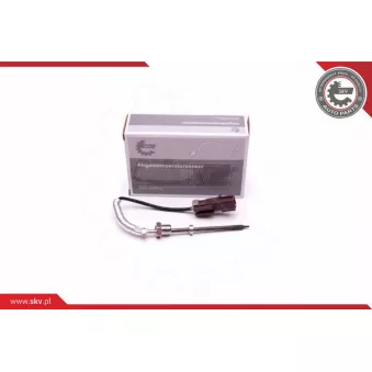 Capteur, température des gaz ESEN SKV 30SKV309