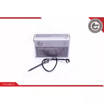 Capteur, température des gaz ESEN SKV 30SKV310