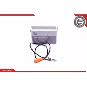 Capteur, température des gaz ESEN SKV 30SKV311