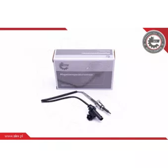 Capteur, température des gaz ESEN SKV 30SKV312