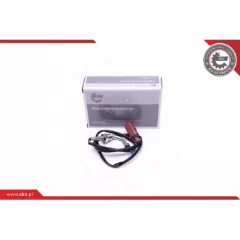 Capteur, température des gaz ESEN SKV 30SKV316