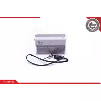 Capteur, température des gaz ESEN SKV 30SKV317