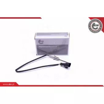 Capteur, température des gaz ESEN SKV 30SKV319