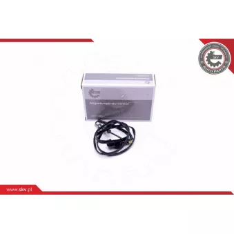 Capteur, température des gaz ESEN SKV 30SKV321