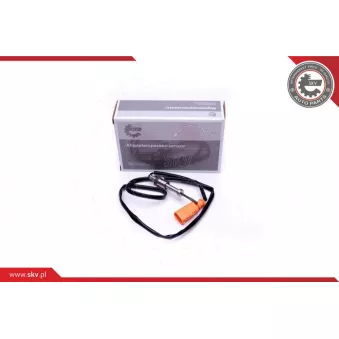 Capteur, température des gaz ESEN SKV 30SKV330