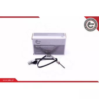 Capteur, température des gaz ESEN SKV 30SKV332