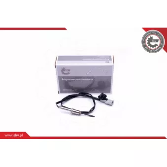 Capteur, température des gaz ESEN SKV 30SKV334