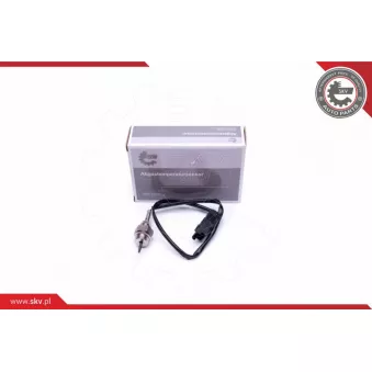 Capteur, température des gaz ESEN SKV 30SKV336