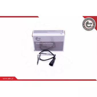 Capteur, température des gaz ESEN SKV 30SKV340