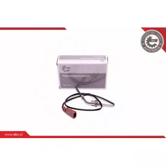 Capteur, température des gaz ESEN SKV 30SKV345