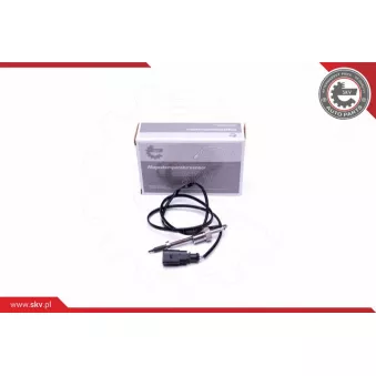 Capteur, température des gaz ESEN SKV 30SKV346