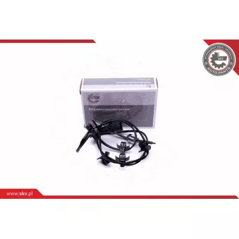 Capteur, température des gaz ESEN SKV 30SKV350