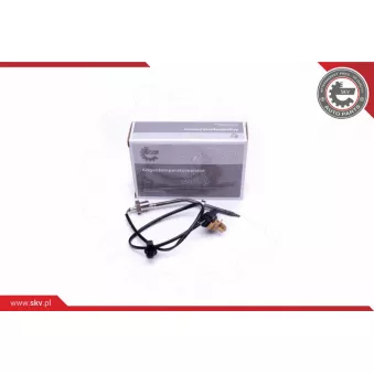 Capteur, température des gaz ESEN SKV 30SKV351