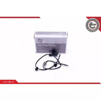 Capteur, température des gaz ESEN SKV 30SKV353