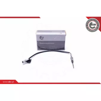 Capteur, température des gaz ESEN SKV 30SKV354