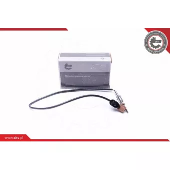 Capteur, température des gaz ESEN SKV 30SKV355