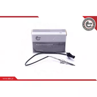 Capteur, température des gaz ESEN SKV 30SKV356