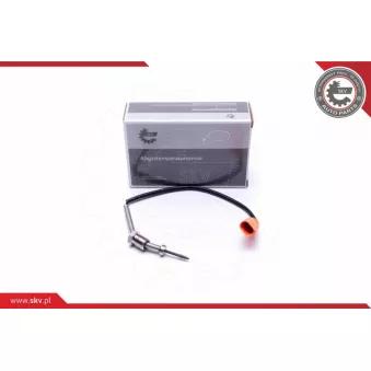 Capteur, température des gaz ESEN SKV 30SKV360