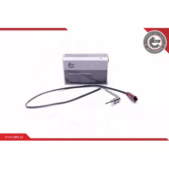 Capteur, température des gaz ESEN SKV 30SKV361