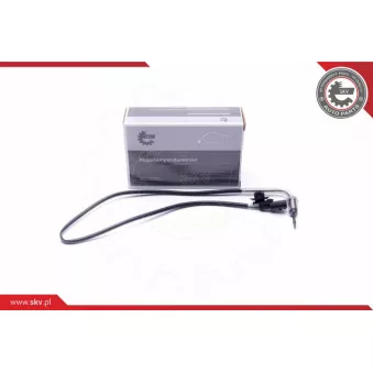 Capteur, température des gaz ESEN SKV 30SKV362