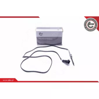 Capteur, température des gaz ESEN SKV 30SKV365
