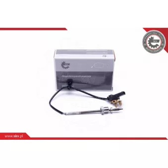 Capteur, température des gaz ESEN SKV 30SKV368