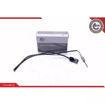 Capteur, température des gaz ESEN SKV 30SKV373
