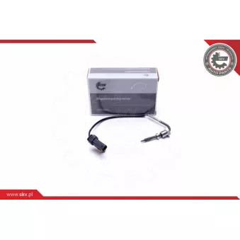 Capteur, température des gaz ESEN SKV 30SKV374