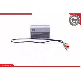 Capteur, température des gaz ESEN SKV 30SKV375