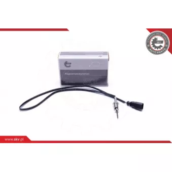 Capteur, température des gaz ESEN SKV 30SKV378