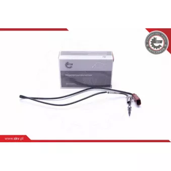 Capteur, température des gaz ESEN SKV 30SKV379