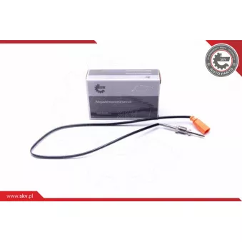 Capteur, température des gaz ESEN SKV 30SKV382