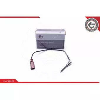 Capteur, température des gaz ESEN SKV 30SKV383