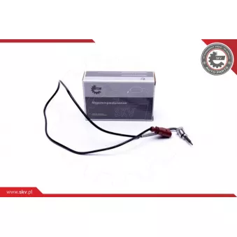 Capteur, température des gaz ESEN SKV