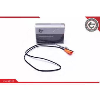 Capteur, température des gaz ESEN SKV 30SKV385