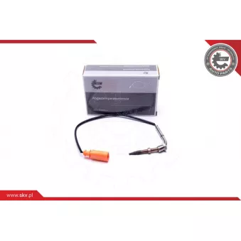 Capteur, température des gaz ESEN SKV 30SKV391