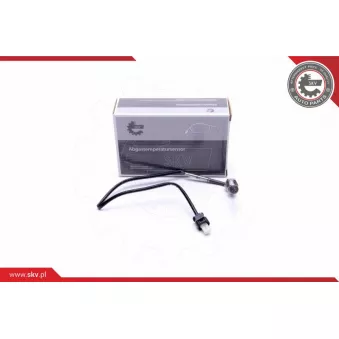 Capteur, température des gaz ESEN SKV 30SKV396