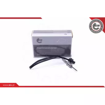 Capteur, température des gaz ESEN SKV 30SKV399