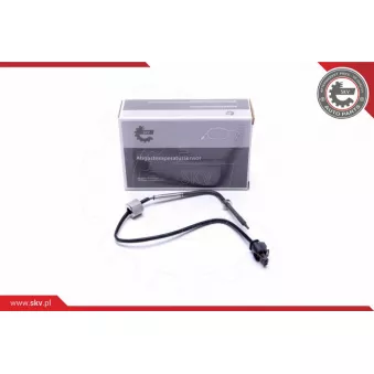 Capteur, température des gaz ESEN SKV 30SKV403