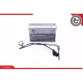 Capteur, température des gaz ESEN SKV 30SKV405