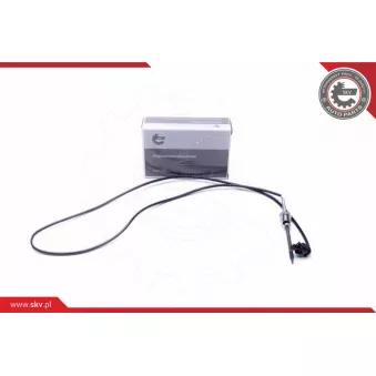Capteur, température des gaz ESEN SKV 30SKV406