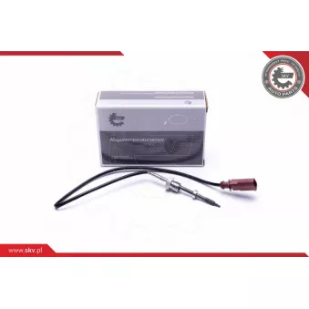 Capteur, température des gaz ESEN SKV 30SKV407