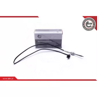Capteur, température des gaz ESEN SKV 30SKV410