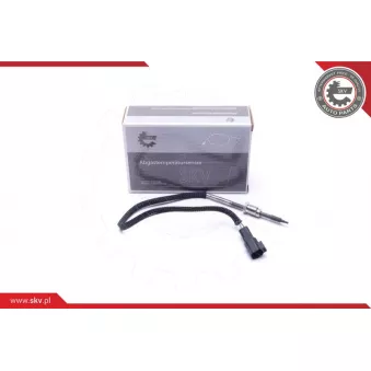 Capteur, température des gaz ESEN SKV 30SKV416