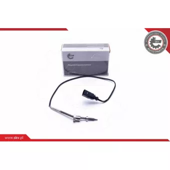 Capteur, température des gaz ESEN SKV