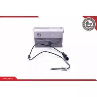 Capteur, température des gaz ESEN SKV 30SKV420