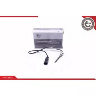 Capteur, température des gaz ESEN SKV 30SKV421