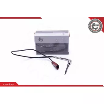 Capteur, température des gaz ESEN SKV