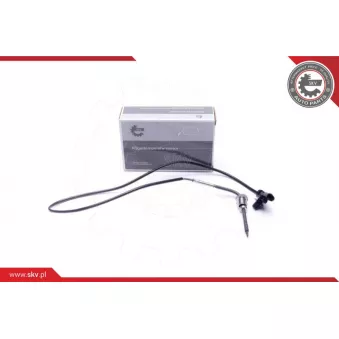 Capteur, température des gaz ESEN SKV 30SKV427